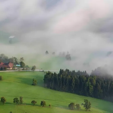 Guest house Am Landsberg 3*