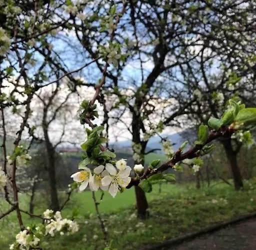 Konukevi Am Landsberg Obergrünburg